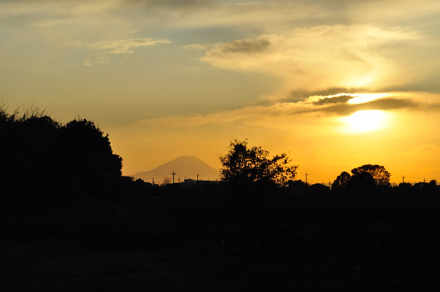 aki218_146.jpg