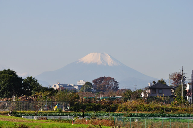 aki003_164.jpg