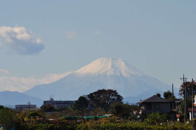 aki010_176.jpg