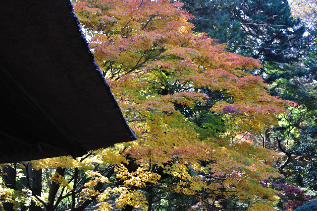 aki026_162.jpg