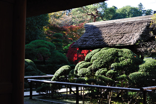 aki053_154.jpg