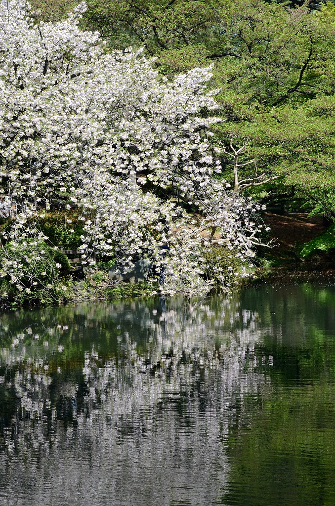 haru089.jpg